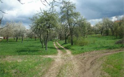 Erfassung (historischer) Kulturlandschaften