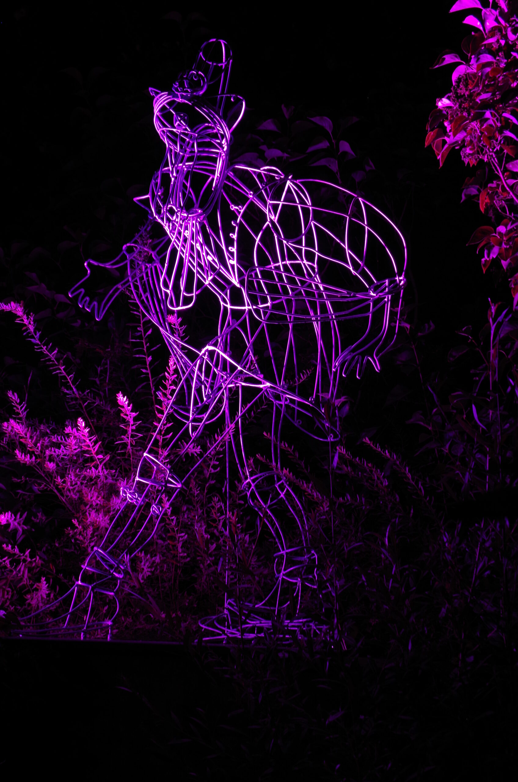 ErsamusGrasser6_JosefPopp