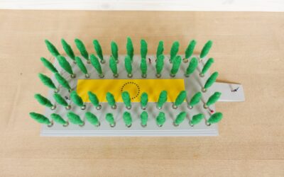 Europa-Gelder für die Region