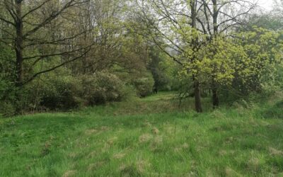 Erlebnisweg- rund um den Erzberg