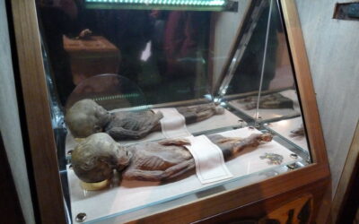 Vom Karner zur Klosterburg