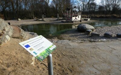 Der Stein der mit dem Wasser spricht